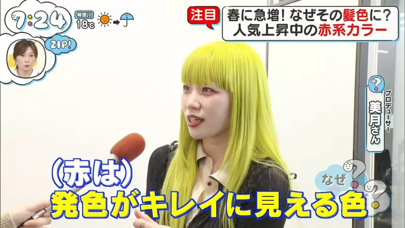 我的世界基岩版【】下载