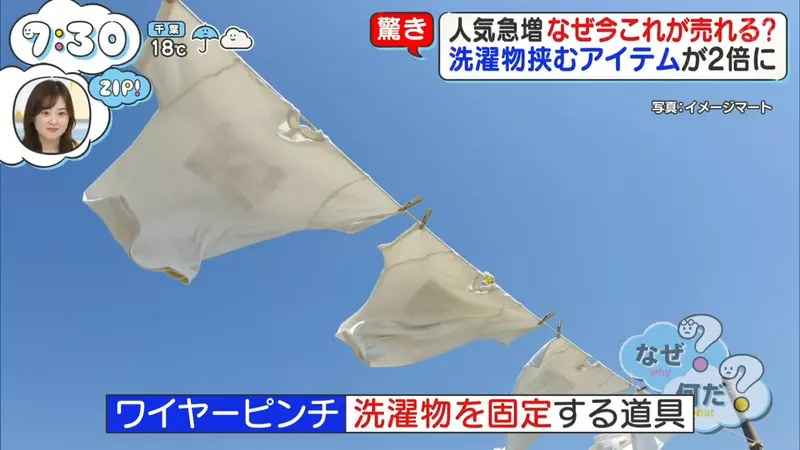 我的世界基岩版【】下载