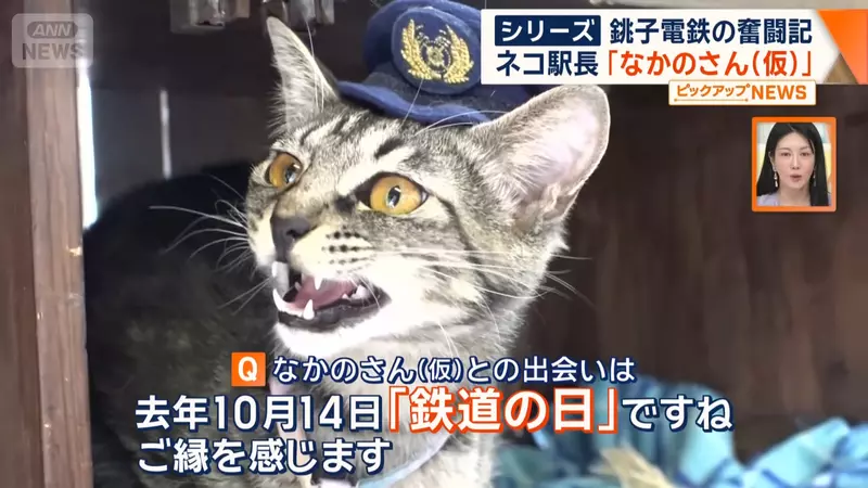 我的世界基岩版【】下载