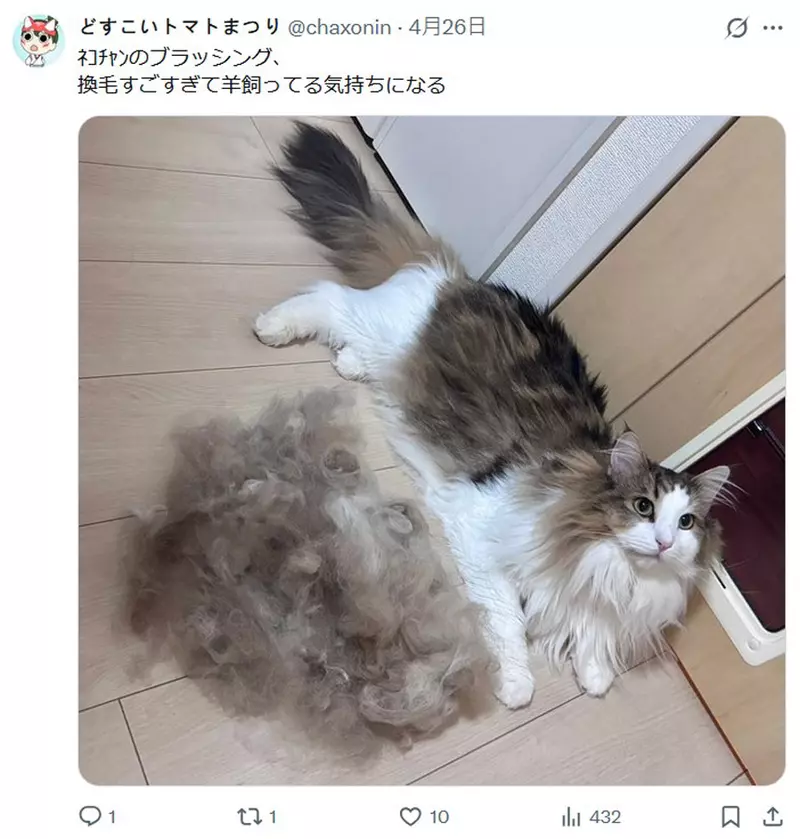 打游戏打到一半 PS5 频频报警?日本网友晒出案发现场,才发现机器竟“偷偷长毛了”! 打游戏打到一半 PS5 频频报警?日本网友晒出案发现场,才发现机器竟“偷偷长毛了”!