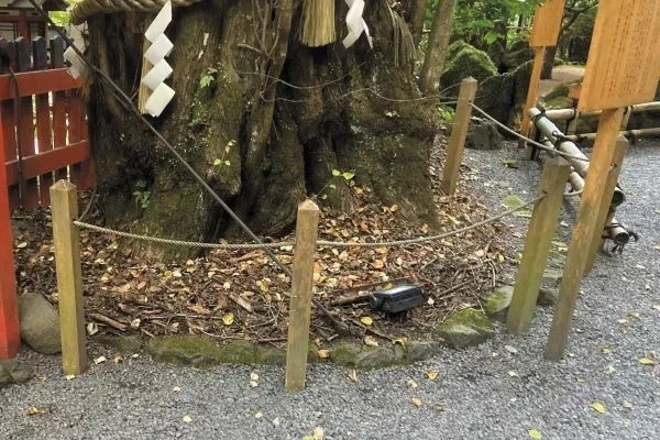 京都著名景点遭贼!日本贵船神社募捐箱连锅端,网民哀叹治安堪忧! 京都著名景点遭贼!日本贵船神社募捐箱连锅端,网民哀叹治安堪忧!