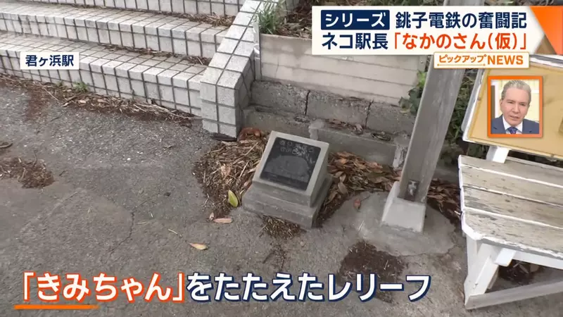 我的世界基岩版【】下载