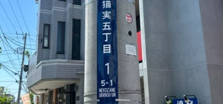 日本打工人选房有了新标准？只因地名里有个“猫”字，全网猫奴直呼想立刻搬家！ - 奇趣星球报