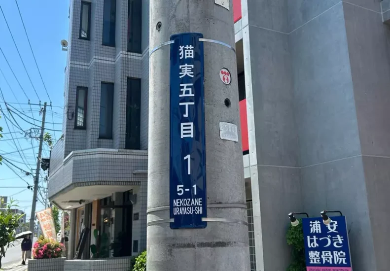日本打工人选房有了新标准？只因地名里有个“猫”字，全网猫奴直呼想立刻搬家！ - 奇趣星球报 - 奇趣星球报