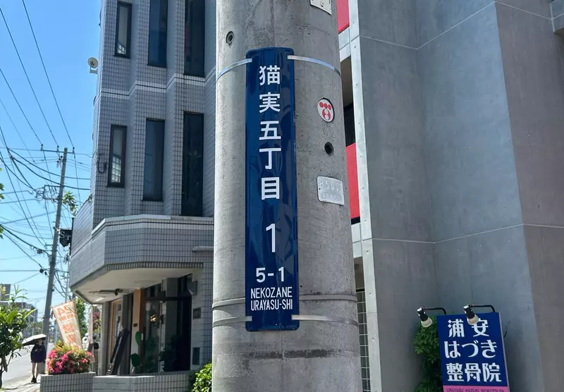 我的世界基岩版【】下载