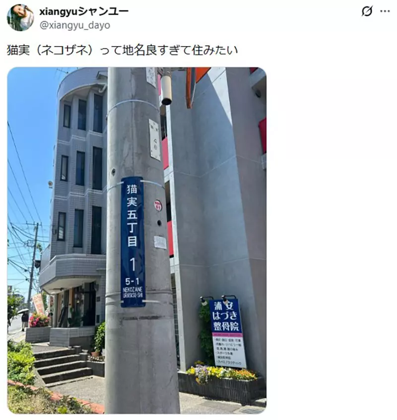 我的世界基岩版【】下载