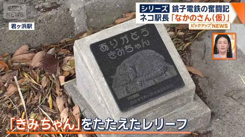 我的世界基岩版【】下载