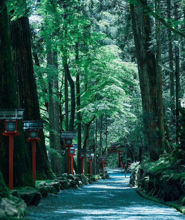 京都著名景点遭贼!日本贵船神社募捐箱连锅端,网民哀叹治安堪忧! 京都著名景点遭贼!日本贵船神社募捐箱连锅端,网民哀叹治安堪忧!