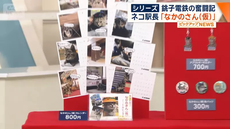 我的世界基岩版【】下载