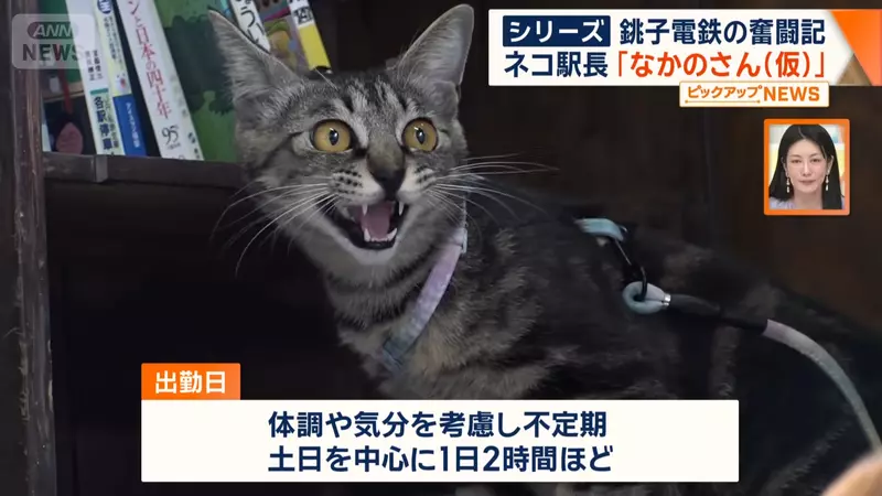 我的世界基岩版【】下载