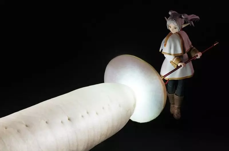 【】 【】