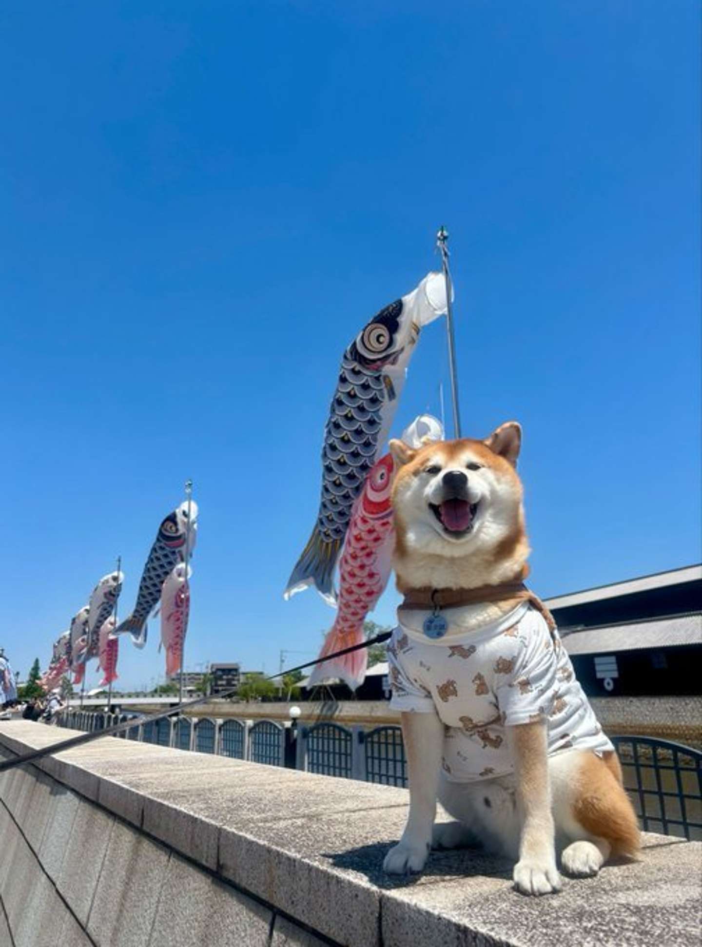 【】 【】