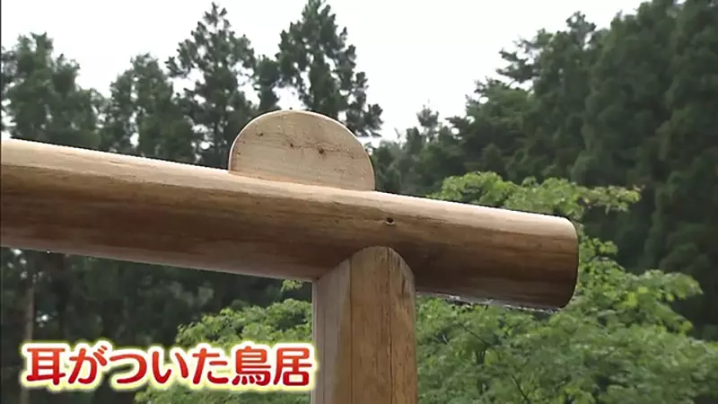【】 【】