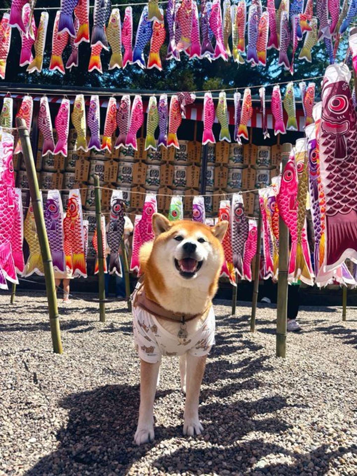【】 【】