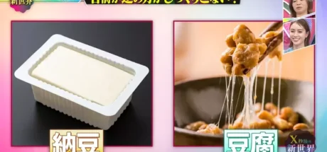 日本综艺《X秒後の新世界》聊豆腐和纳豆!网友吵到怀疑名字反了,结果一查背后还真有来历和理由! - 奇趣星球报