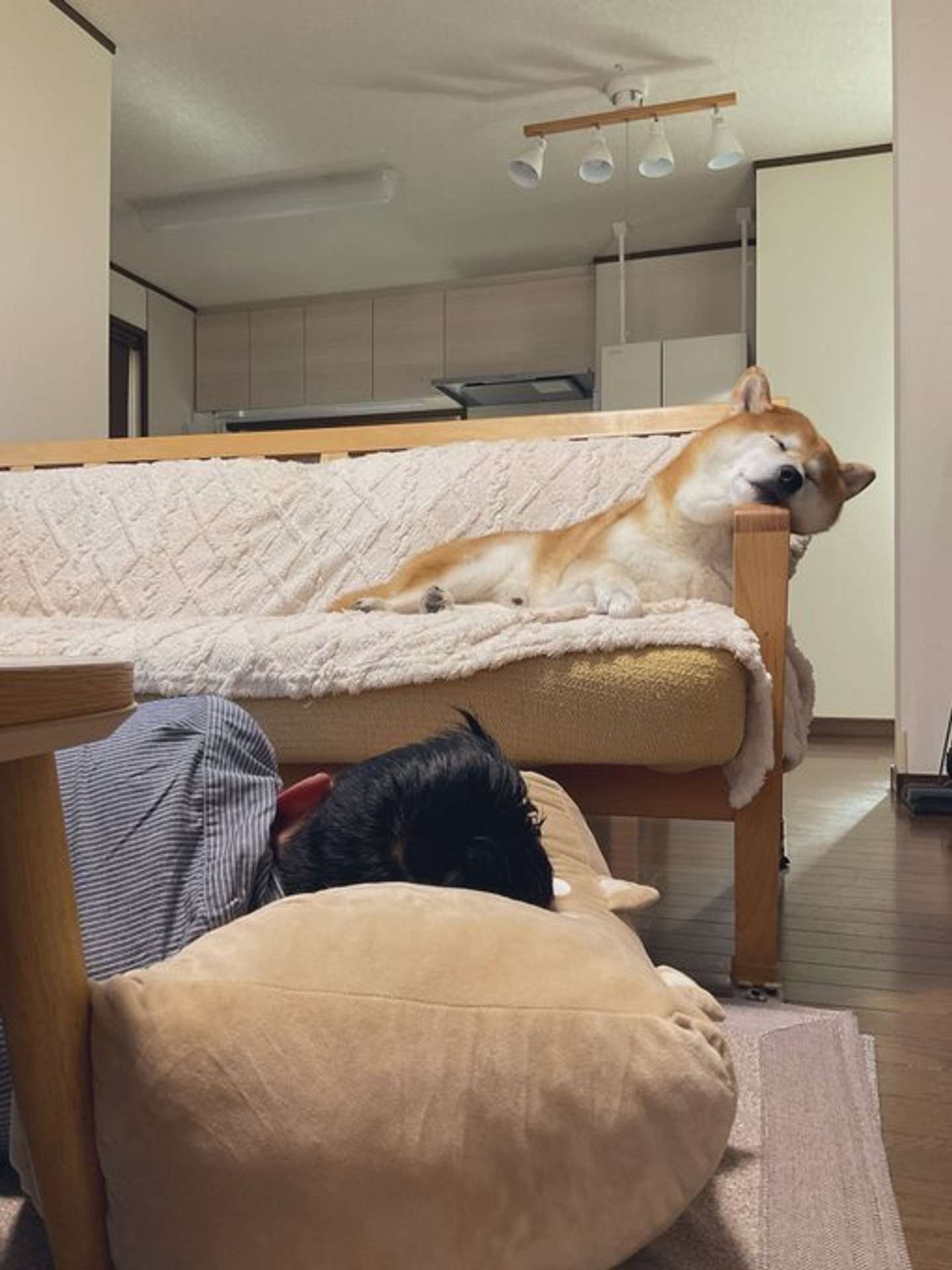 【】 【】