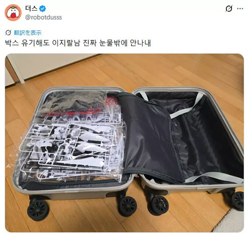 韩国玩家在日本只买一盒佩涅罗佩高达模型,行李箱塞不下才懂旅行购物的现实坑 韩国玩家在日本只买一盒佩涅罗佩高达模型,行李箱塞不下才懂旅行购物的现实坑