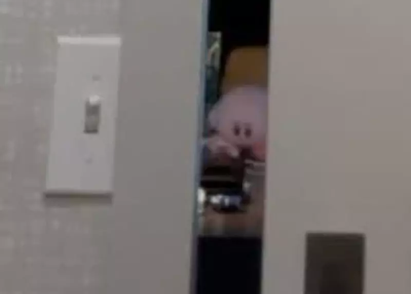 【】 【】