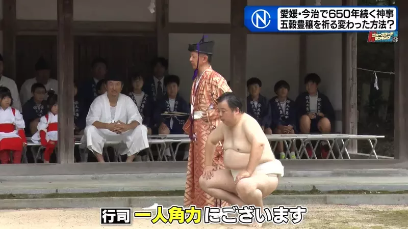日本650年祭典让人笑不出来：52岁公务员还在和稻田精灵摔跤，后继无人太辛酸了！