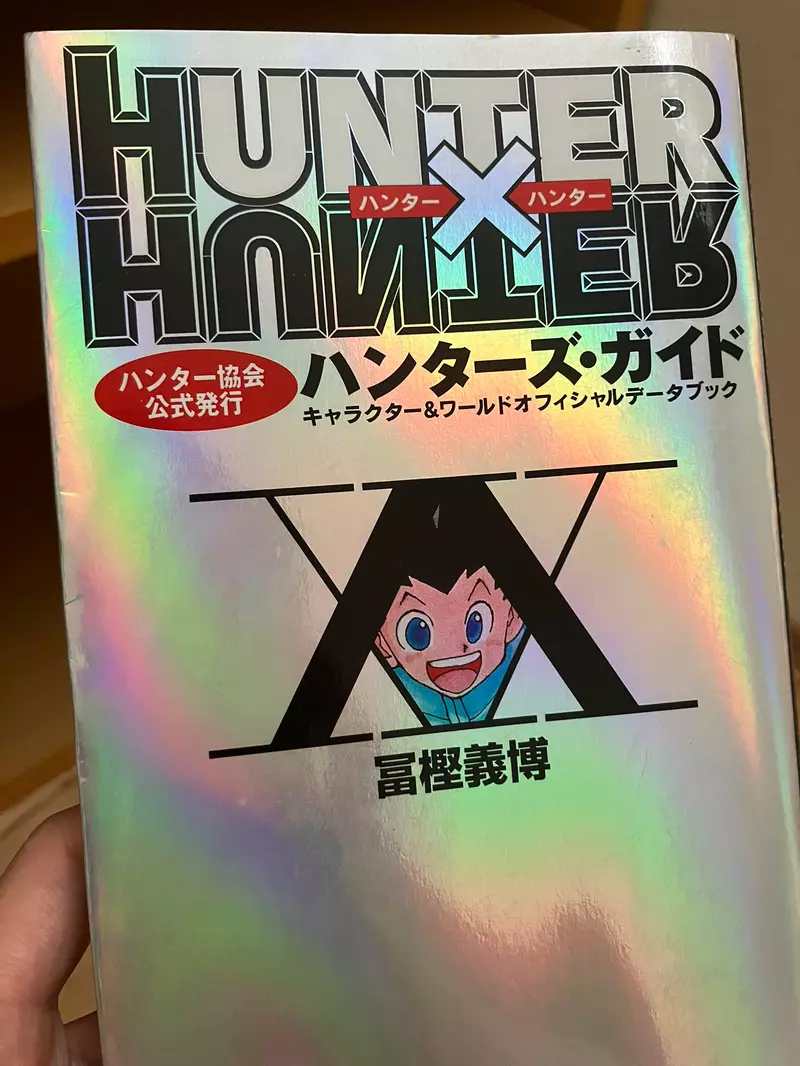 日本网友议论“《猎人》动画这道剪影谜题又被翻出”！奇犽的祖母，会不会就是揍敌客家族的隐藏成员？