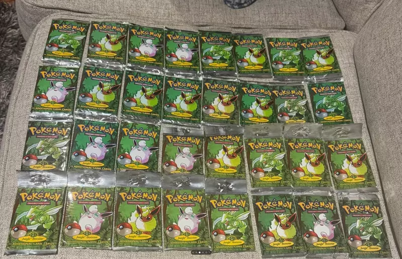 孙子以为童年玩具早丢了,奶奶却藏着25万美元宝可梦卡牌!这份偏爱太狠了! 孙子以为童年玩具早丢了,奶奶却藏着25万美元宝可梦卡牌!这份偏爱太狠了!