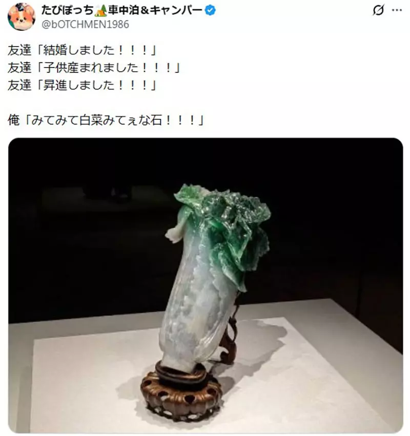 日本网友议论“朋友都在升级人生”，我却想炫耀一颗巨型菊石！成年人别被进度条绑架！