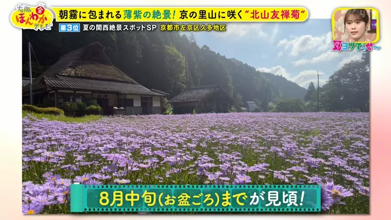 日本关西夏日拍照别把行程排错！风铃、镜面海和40万朵向日葵，都在拼时间！