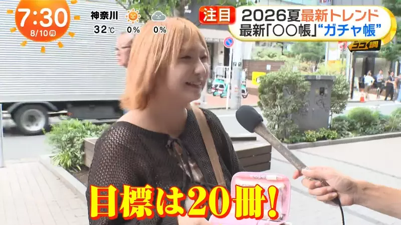 日本年轻人把扭蛋塞进收藏册！越厚越上头的收纳潮流，戳中了谁的收藏焦虑？
