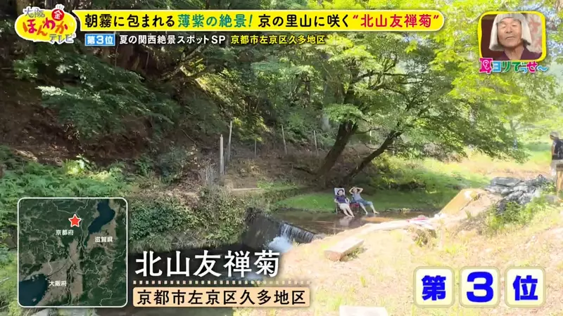 日本关西夏日拍照别把行程排错！风铃、镜面海和40万朵向日葵，都在拼时间！