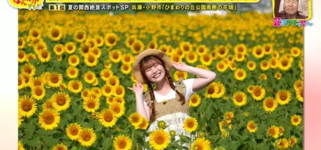日本关西夏日拍照别把行程排错！风铃、镜面海和40万朵向日葵，都在拼时间！ - 奇趣星球报