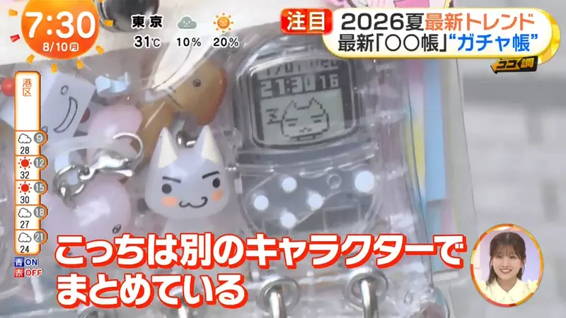 日本年轻人把扭蛋塞进收藏册！越厚越上头的收纳潮流，戳中了谁的收藏焦虑？