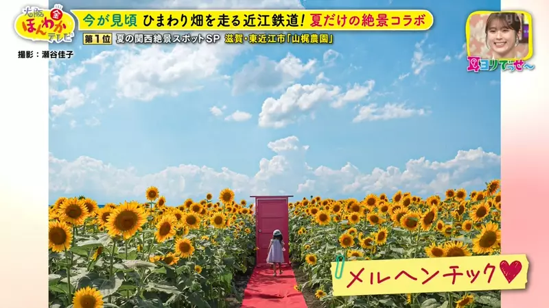 日本关西夏日拍照别把行程排错！风铃、镜面海和40万朵向日葵，都在拼时间！