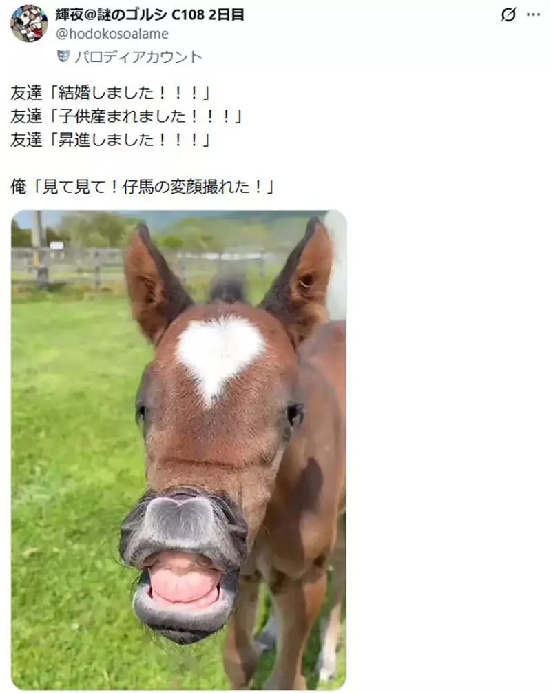 日本网友议论“朋友都在升级人生”，我却想炫耀一颗巨型菊石！成年人别被进度条绑架！