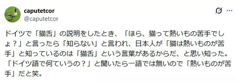 日本猫舌为何难翻译!一碗滚烫拉面,照出不同饮食习惯的温度差! 日本猫舌为何难翻译!一碗滚烫拉面,照出不同饮食习惯的温度差!