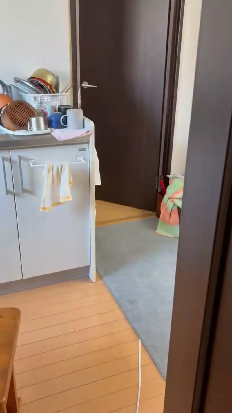 光纤从厕所进屋、服务器悬在马桶上!日本网友吵翻,省下的空间可能先把安全感省没了! 光纤从厕所进屋、服务器悬在马桶上!日本网友吵翻,省下的空间可能先把安全感省没了!