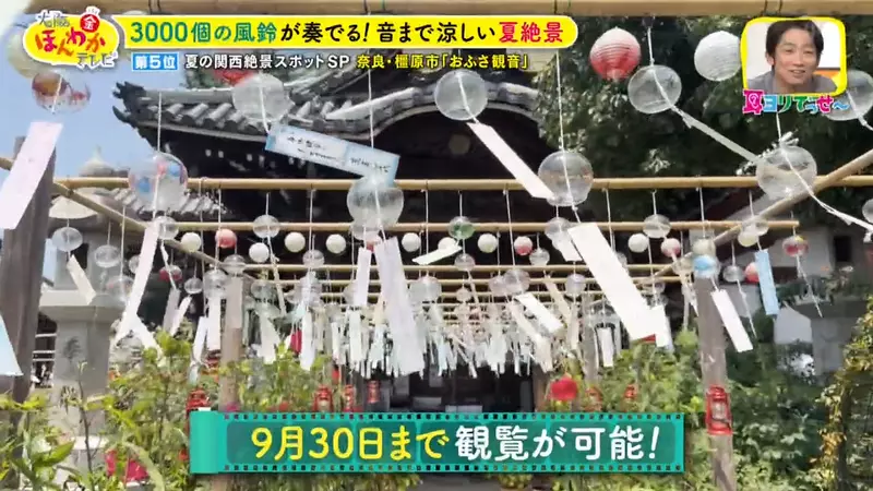 日本关西夏日拍照别把行程排错！风铃、镜面海和40万朵向日葵，都在拼时间！