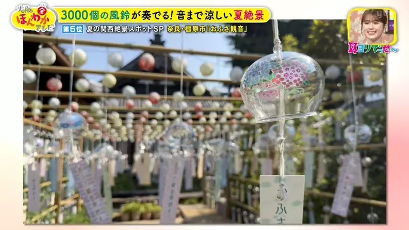 日本关西夏日拍照别把行程排错！风铃、镜面海和40万朵向日葵，都在拼时间！