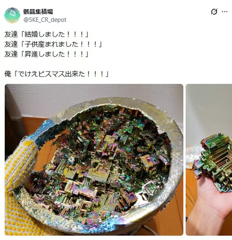 日本网友议论“朋友都在升级人生”，我却想炫耀一颗巨型菊石！成年人别被进度条绑架！