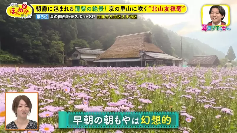 日本关西夏日拍照别把行程排错！风铃、镜面海和40万朵向日葵，都在拼时间！