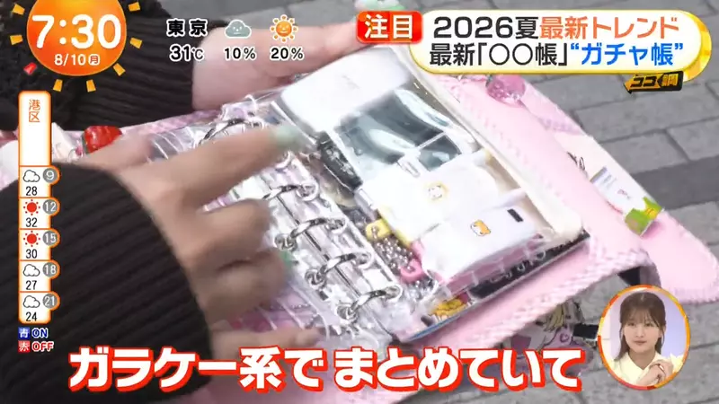 日本年轻人把扭蛋塞进收藏册！越厚越上头的收纳潮流，戳中了谁的收藏焦虑？