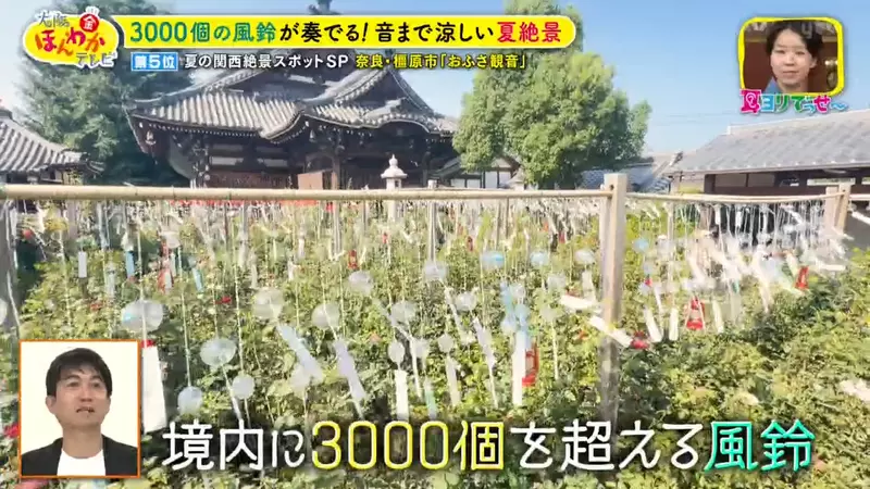 日本关西夏日拍照别把行程排错！风铃、镜面海和40万朵向日葵，都在拼时间！