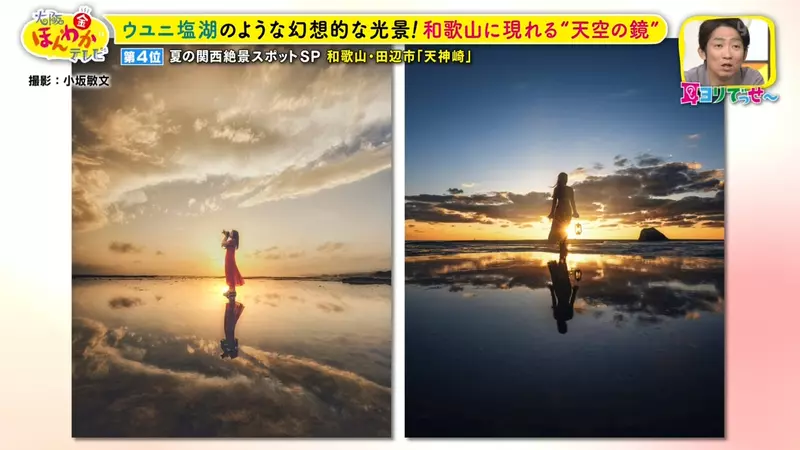 日本关西夏日拍照别把行程排错！风铃、镜面海和40万朵向日葵，都在拼时间！