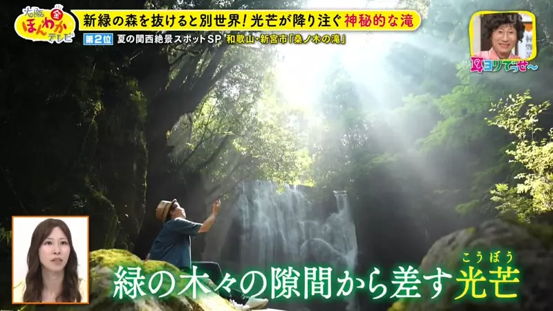 日本关西夏日拍照别把行程排错！风铃、镜面海和40万朵向日葵，都在拼时间！