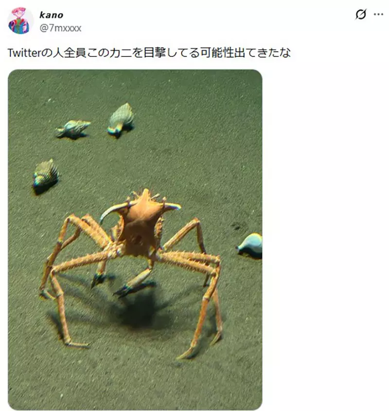 日本葛西临海水族园的日本拟人面蟹火了!它举海星不是卖萌,而是在拼命藏住自己! 日本葛西临海水族园的日本拟人面蟹火了!它举海星不是卖萌,而是在拼命藏住自己!