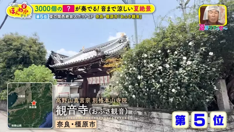 日本关西夏日拍照别把行程排错！风铃、镜面海和40万朵向日葵，都在拼时间！