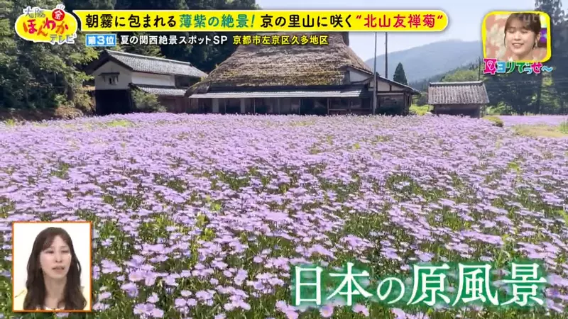 日本关西夏日拍照别把行程排错！风铃、镜面海和40万朵向日葵，都在拼时间！