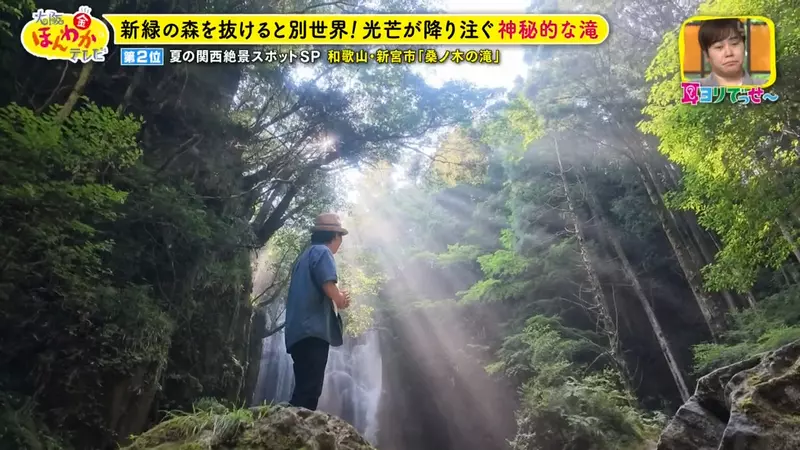 日本关西夏日拍照别把行程排错！风铃、镜面海和40万朵向日葵，都在拼时间！