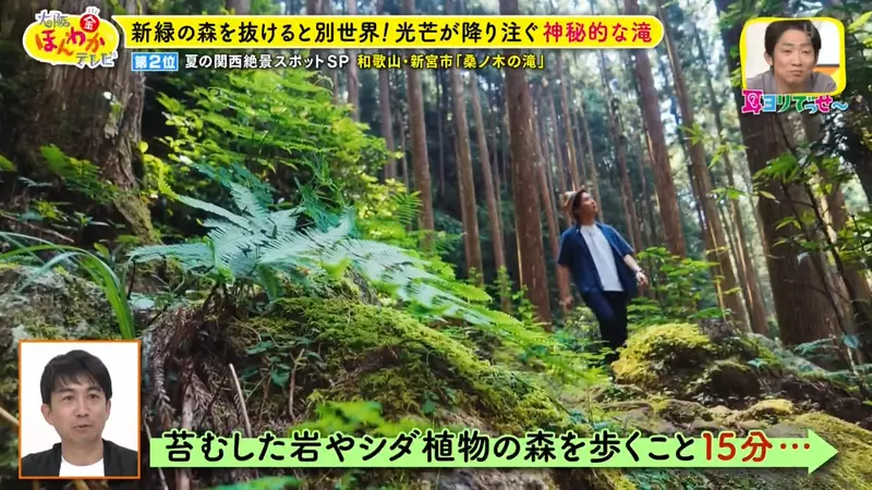 日本关西夏日拍照别把行程排错！风铃、镜面海和40万朵向日葵，都在拼时间！
