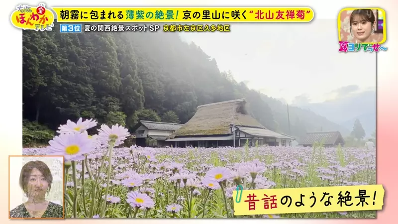 日本关西夏日拍照别把行程排错！风铃、镜面海和40万朵向日葵，都在拼时间！