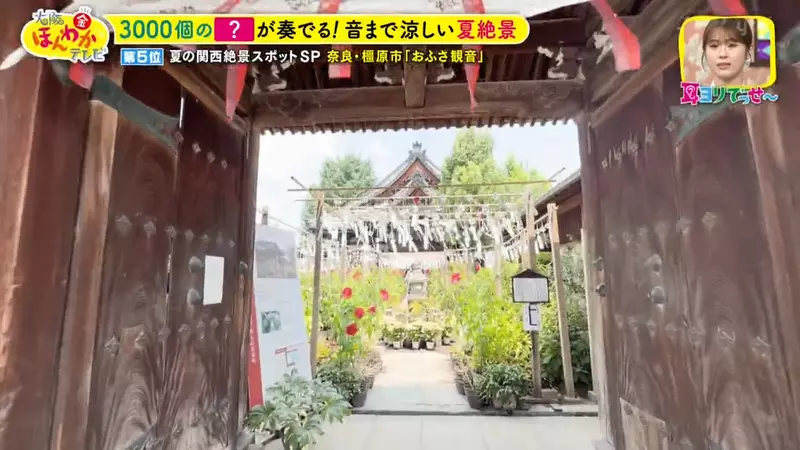 日本关西夏日拍照别把行程排错！风铃、镜面海和40万朵向日葵，都在拼时间！